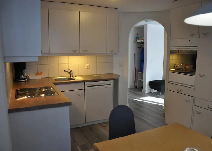 阿尔卡玛酒店 公寓 采尔马特